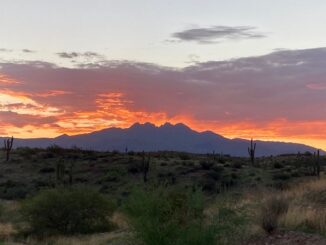 Rain was expected mid-day along the Mogollon Rim, so I left home early. The reward was a beautiful sunrise over Four Peaks as I drove north on the Beeline Highway.