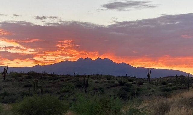 Rain was expected mid-day along the Mogollon Rim, so I left home early. The reward was a beautiful sunrise over Four Peaks as I drove north on the Beeline Highway.