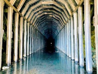 The Indigo Tunnel has been barred since 2018, creating a 4,350 ft. long bat cave.