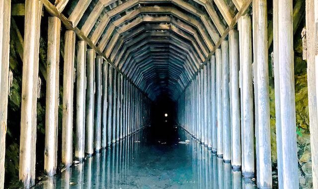 The Indigo Tunnel has been barred since 2018, creating a 4,350 ft. long bat cave.