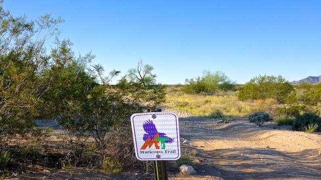 There's lots of Maricopa Trail signs to guide you across the multi-tracked Sonoran Desert. (GoPro screen cap)