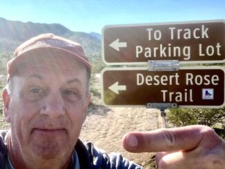 Indicating the direction to turn on the Desert Rose Trail. You can't get lost with all the signs!