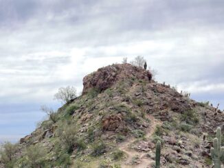 Javelina Summit. Looks like there is a wee scramble, but the trail wraps around to the right.