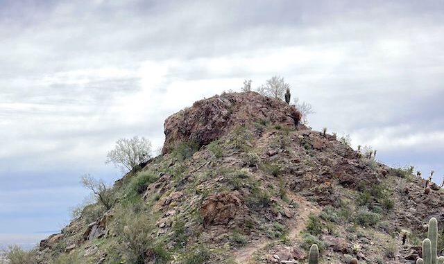 Javelina Summit. Looks like there is a wee scramble, but the trail wraps around to the right.