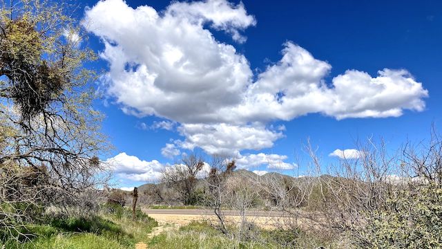 Clouds only came in at the end of my hike.