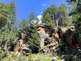 I found this photogenic little cliff about a quarter mile from where I exited East Leonard Canyon.