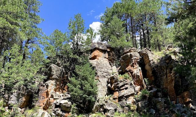 I found this photogenic little cliff about a quarter mile from where I exited East Leonard Canyon.