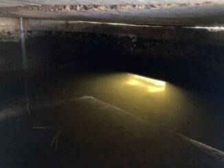 Inside the storage tank of a wildlife "guzzler". The glow is the outlet to the "escape ramp", where game drink.