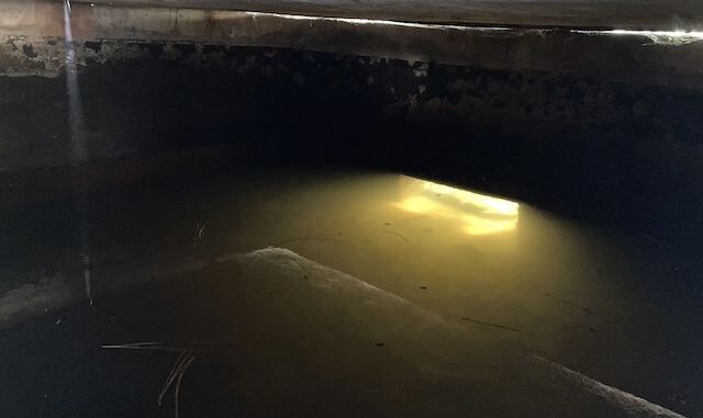 Inside the storage tank of a wildlife "guzzler". The glow is the outlet to the "escape ramp", where game drink.