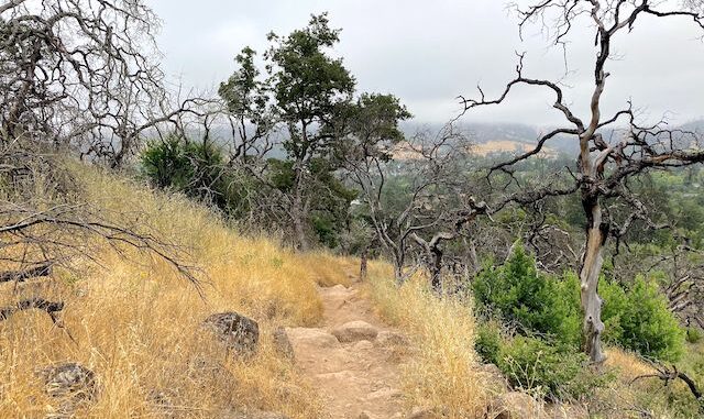 Heading down Cobblestone Trail. The next day was actually foggier! Heading down Cobblestone Trail. The next day was actually foggier!