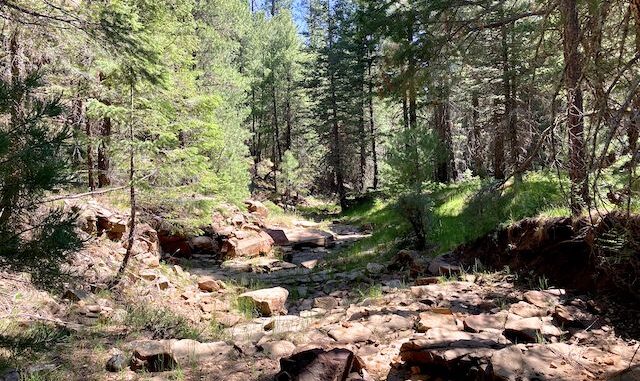 Porcupine Canyon had several sections of exposed bedrock. No pooling though.