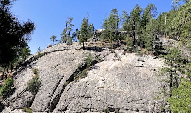 At the bottom of Sabino Canyon, looking up at the Aspen Trail #93 view point.