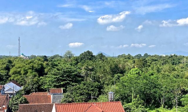 Looking southwest from our hotel room: Teal-domed Masjid Darus Sholah (left), 580 ft. Bukit Jenggawah hill (distant middle), and Jember Sport Garden Stadium (right). Mount Bromo is much taller ...