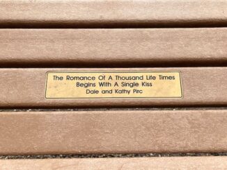 Cave Creek Regional Park (CCRP): Rest bench at the intersection of Quartz Trail and Slate Trail. Today was our 19th Proposal Anniversary.