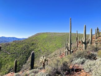 Vineyard Mountain, viewed from the microwave relay.