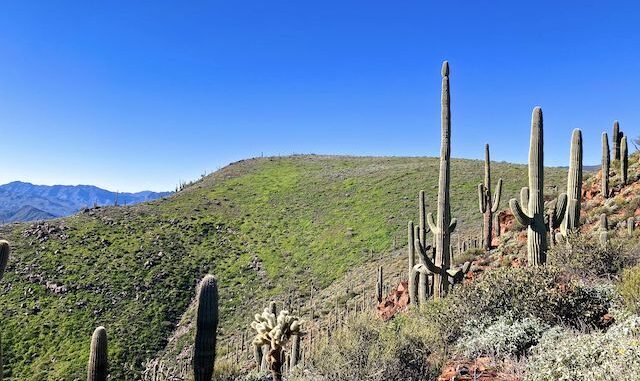 Vineyard Mountain, viewed from the microwave relay.