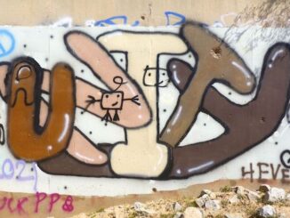 Graffiti on Maricopa Trail at Sun Valley Parkway.