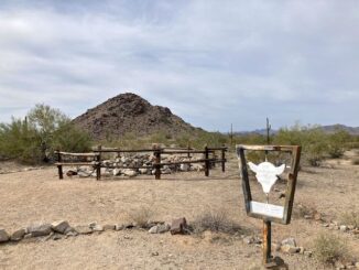 Butterfield Stage Trail: The first Boy Scout skull pole in five miles, at the Happy Camp / Fortymile Desert Tank cistern.