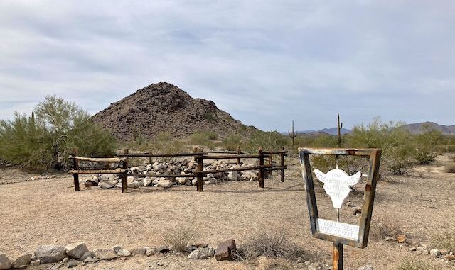 Butterfield Stage Trail: The first Boy Scout skull pole in five miles, at the Happy Camp / Fortymile Desert Tank cistern.