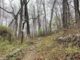 Ashby's Gap on the Appalachian Trail was foggy & chilly. I wore a hoodie, and hoped it would not rain. Note the A.T. blaze. One blaze indicates trail goes straight; two offset blazes indicates left or right turn.