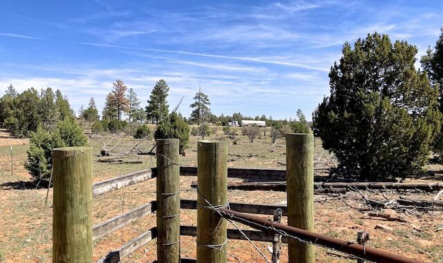 Cottonwood Trail #508: The human-only v-gate on FR 139, just south of AZ-260.