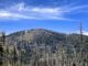 Mount Graham: Heliograph Peak, viewed from Graham Ridge Trail #507.