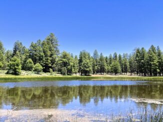 Sheep Tank is located a mile west of Mooney Mountain. The water looked really good!