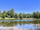Sheep Tank is located a mile west of Mooney Mountain. The water looked really good!