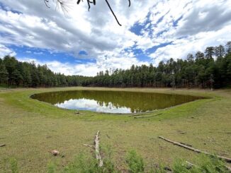 Looking north across Potato Lake. I like this perspective the best. Lots of white clover, plus elk & deer scat.