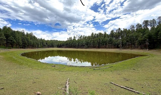 Looking north across Potato Lake. I like this perspective the best. Lots of white clover, plus elk & deer scat.