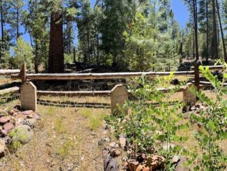 The Stott, Scott & Wilson cemetery in Hangmans Draw reminded me of Davey Gowan's grave in the Mazatzal Mountains. Note the "Aug 4 1888" dates of death are incorrect: The three were lynched a week later.