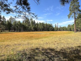 Alder Lake was bone dry. On current satellite view it has water.
