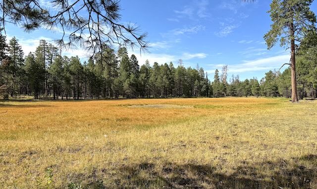 Alder Lake was bone dry. On current satellite view it has water.