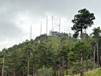 Mount Bigelow, viewed from Kellogg Mountain Trail #45. That boulder is where Mount Bigelow Trail splits.