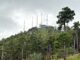 Mount Bigelow, viewed from Kellogg Mountain Trail #45. That boulder is where Mount Bigelow Trail splits.