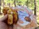 Enjoying some quality hiking food at the junction of Alder Canyon and West Fork Alder Canyon.