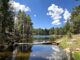 Looking south, down the second Woods Canyon Lake inlet.