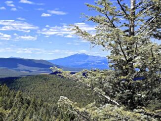 Looking north-northwest from the Hutch Mountain Lookout: Left, Mormon Mountain (13 mi.) and, behind it, Kendrick Peak (48 mi.). Right, the San Francisco Peaks (39 mi).