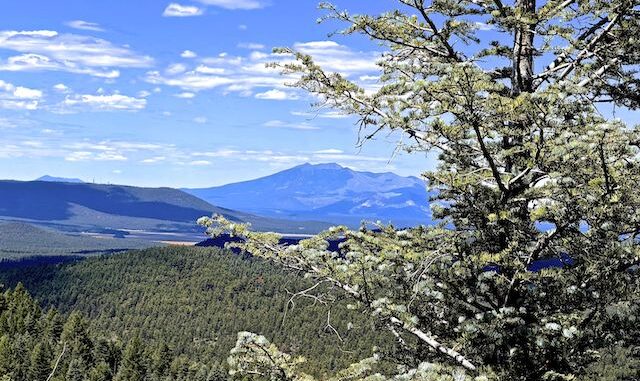 Looking north-northwest from the Hutch Mountain Lookout: Left, Mormon Mountain (13 mi.) and, behind it, Kendrick Peak (48 mi.). Right, the San Francisco Peaks (39 mi).