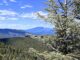 Looking north-northwest from the Hutch Mountain Lookout: Left, Mormon Mountain (13 mi.) and, behind it, Kendrick Peak (48 mi.). Right, the San Francisco Peaks (39 mi).